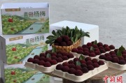 八卦算命高速赋能产业升级：一条“杨梅路”的致富密码