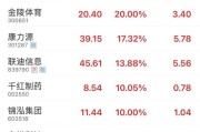 八卦算命“苏超”爆火！300651，“20cm”涨停